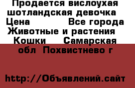 Продается вислоухая шотландская девочка › Цена ­ 8 500 - Все города Животные и растения » Кошки   . Самарская обл.,Похвистнево г.